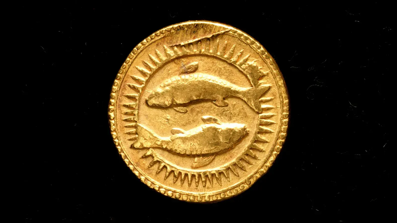 A gold coin dated 1619, struck with two fish inside a sunburst border, photographed on black